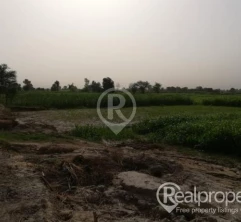 88-89 Kanal Land For Sale On Link Khanuana To Dijkot Road Faisalabad